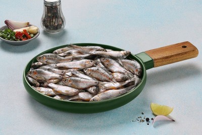 POOL BARB / UNDAKANNI / ഉണ്ടക്കണ്ണി