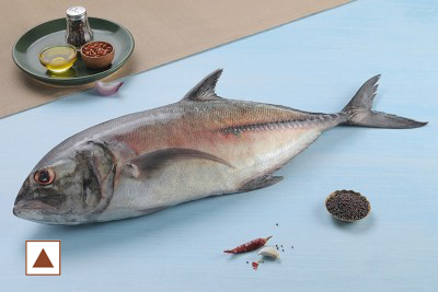 [1931] TREVALLY / വറ്റ / VATTA (LARGE) (WHOLE-500G)