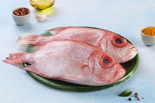 [1130] BIG EYE SNAPPER/ KANNAN POLA / കണ്ണൻ പോള (L)